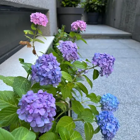 Mare's 2 Lägenhet *