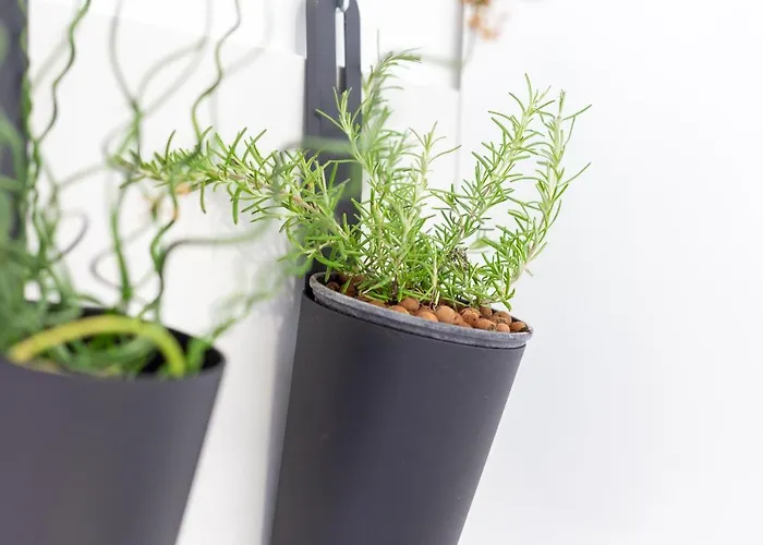 Apartamento Mare's 2