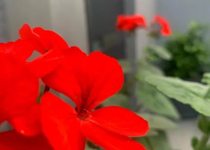 Mare's 2 Apartamento *