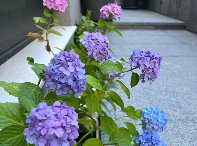 Mare's 2 Apartamento *