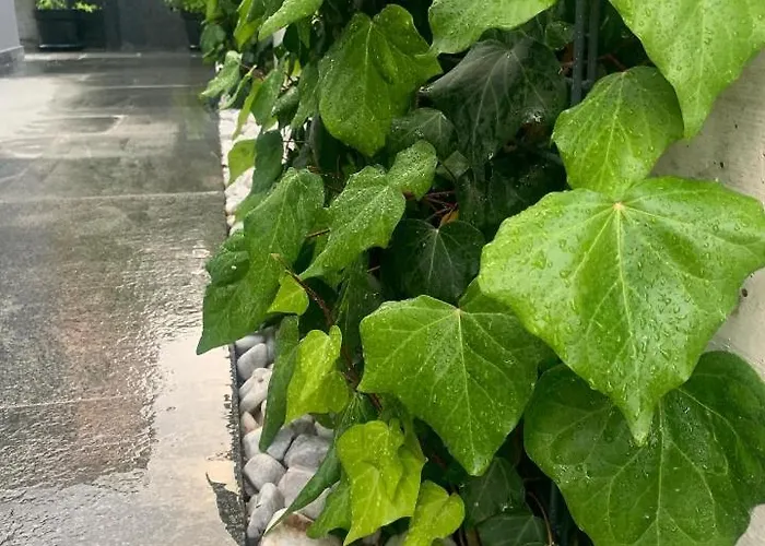 Mare's 2 Apartamento